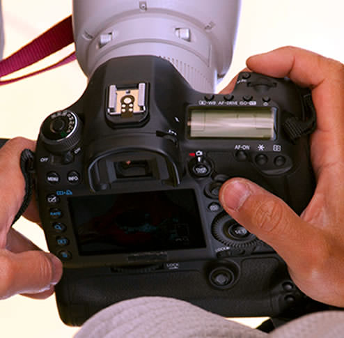 Canon 5D Mark III or 7D Mark II DSLR close-up of back and top