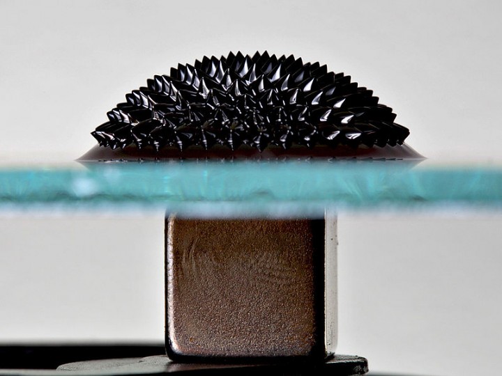 Ferrofluid on glass plate under the influence of a strong magnetic field provided from a magnet below