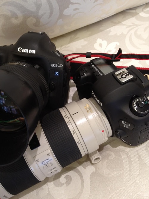 Canon EOS 5D Mark III front top with 1DX